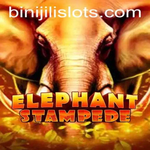 ElephantStampede: Embarking on an Adventure with BINIJILI
