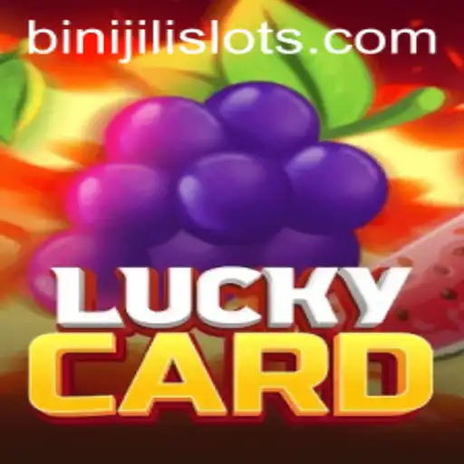 Discovering the Thrill of LuckyCard and the Mystery of BINIJILI